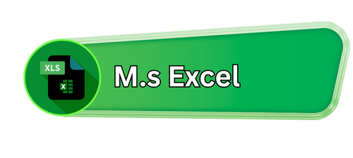 ms excel